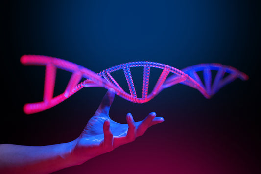 Langsiktig Hyperbar Oksygenbehandling: Effekter på Nevrogenese og Mitogenese