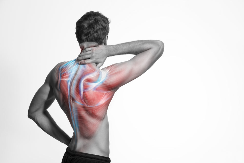 Muskelterapi mot Ryggsmerter